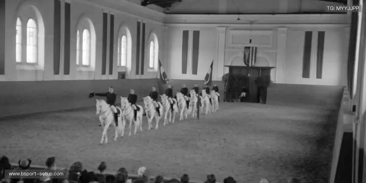 一键开启赛事盛宴，让世界与你同频共振！🌍🎥